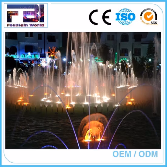 Fabriklieferant Outdoor Musical Dancing Programmierbarer Musik-Wasserbrunnen